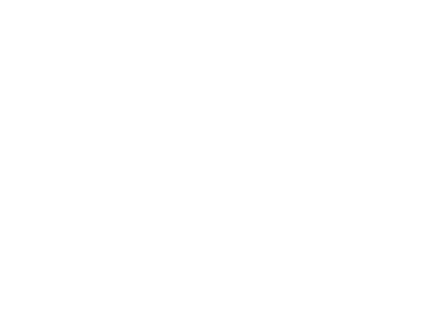 logo-badems-scrolled2